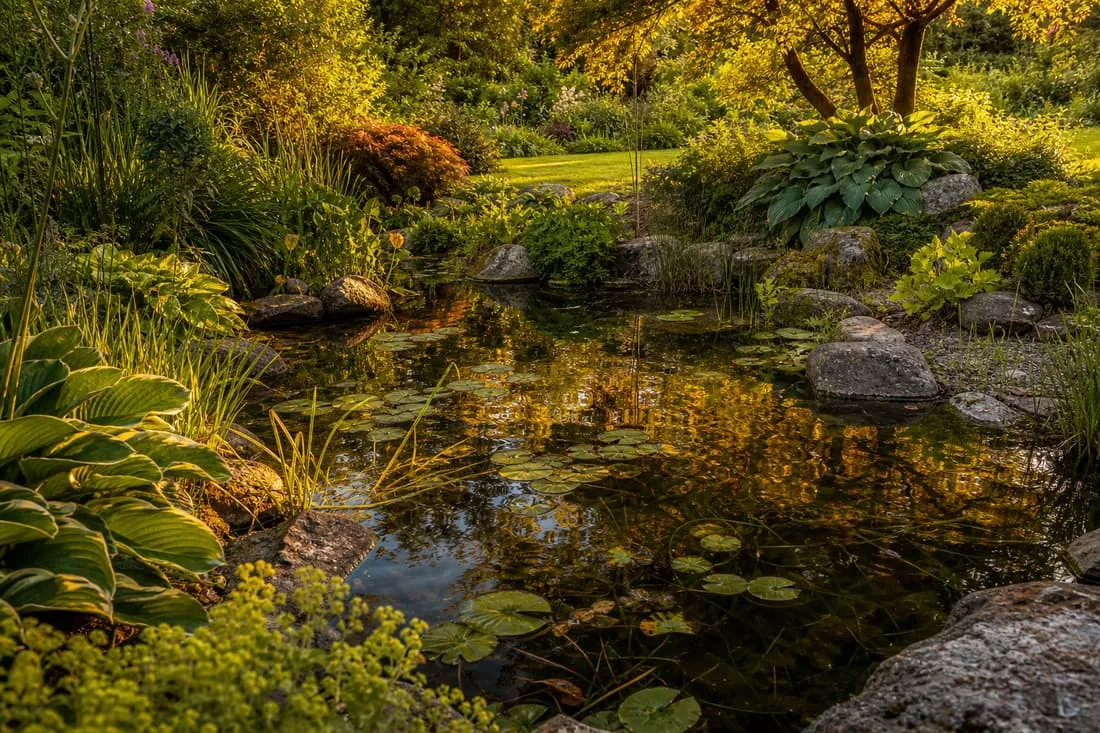 Gartenteich mit naturnaher Bepflanzung